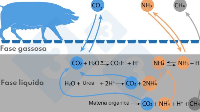 Figura. Schema semplificato delle reazioni che influenzano le emissioni di NH3 e CH4

