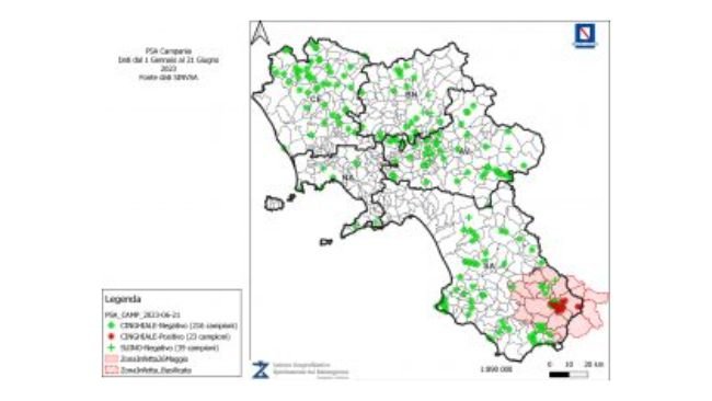 Situazione della Regione con indicazioni delle analisi, positività e zona infetta.