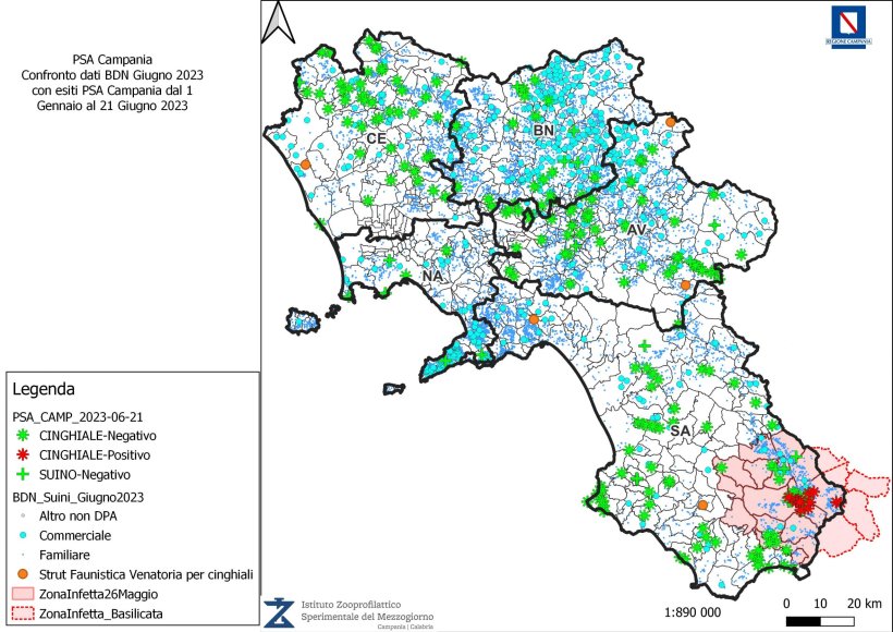 Situazione della Regione con evidenziazione dei suini commerciali registrati in BDN (blu=
