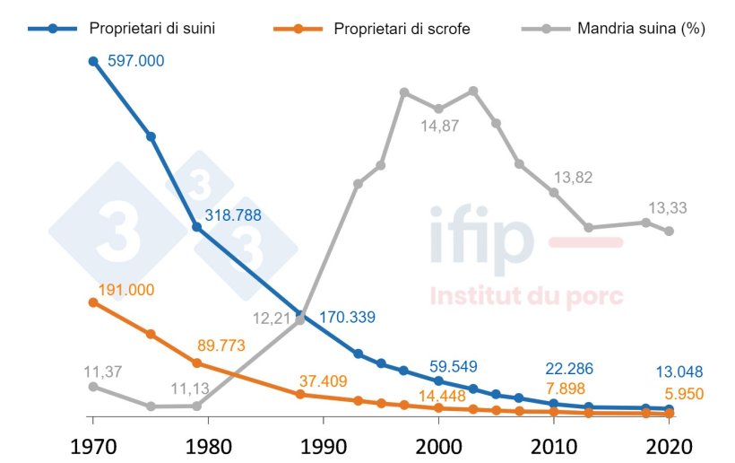 Evoluzione del numero di allevamenti con suini e del numero di suini in Francia dal 1970 al 2020. Fonte: SSP-Agreste, RGA, RA, ESEA, elaborazione IFIP.