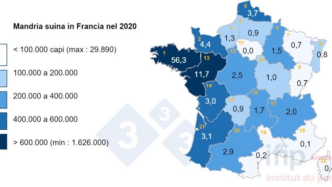 Distribuzione del patrimonio suinicolo in Francia nel 2020. 1 Bretagne, 2 Basse-Normandie, 3 Haute-Normandie, 4 Picardie, 5 Nord-Pas-de-Calais, 6 Champagne-Ardenne, 7 Lorraine, 8 Alsace, 9 Franche-Comt&eacute; , 10 Bourgogne, 11 IDF, 12 Centre, 13 Pays de la Loire, 14 Poitou-Charentes, 15 Limousin, 16 Auvergne, 17 Rh&ocirc;ne-Alpes, 18 PACA, 19 Languedoc-Roussillon, 20 Midi-Pyr&eacute;n&eacute;es, 21 Aquitaine.
