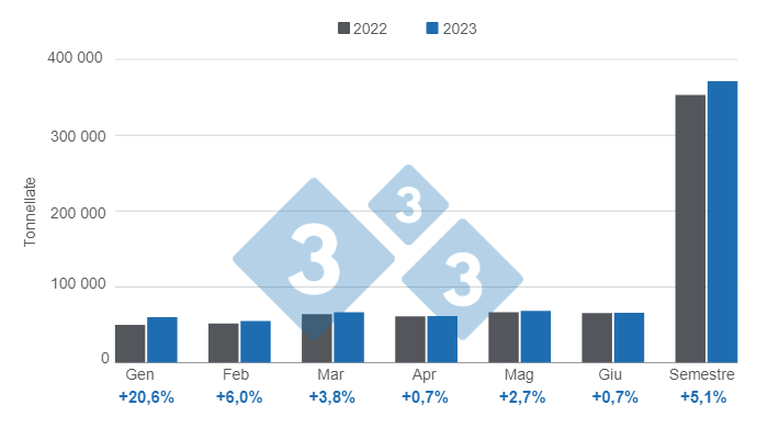 Grafico 1: Evoluzione della produzione di carne suina argentina nella prima met&agrave; del 2023. Preparato da 333 con i dati del Segretario dell'agricoltura, dell'allevamento e della pesca del Ministero dell'Economia dell'Argentina.

