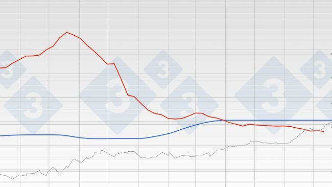 Grafico 1. Evoluzione del prezzo del suino in Spagna (Mercolleida) e Cina.