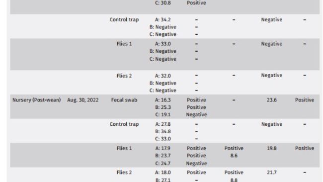 Tabella 3: Riassunto diagnostico, replicazione 2.