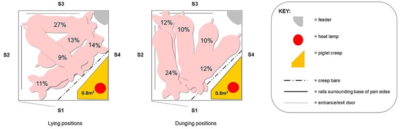 Figura 5. Le cinque posizioni preferite per sdraiarsi (a sinistra) e le posizioni per defecare (a destra) in un box quadrato (2,4 &times; 2,4 m) quando la scrofa era libera [adattato da Moustsen et al. (51)]. S1: lato box verso il corridoio di ispezione; S2: Lato box opposto al movimento dei suinetti; S3: lato box opposto al corridoio di ispezione; S4: Lato mobile davanti al nido dei suinetti.