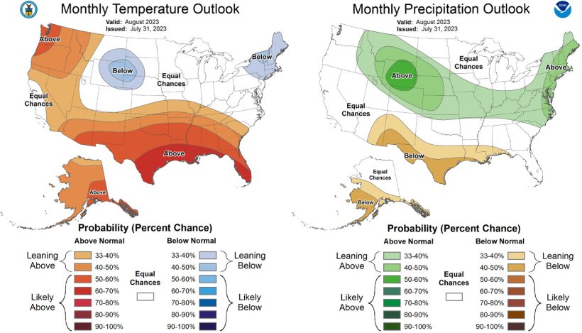 Mappa 1. Previsioni meteorologiche mensili negli Stati Uniti. Temperatura a sinistra e precipitazioni a destra. (fonte: https://www.cpc.ncep.noaa.gov)