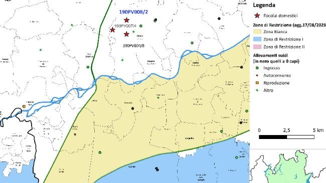 Focolai suini domestici 30 agosto 2023