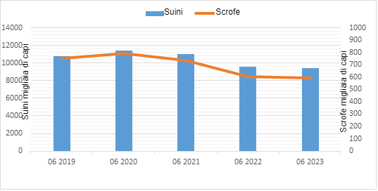 Figura 1. Evoluzione della popolazione suina in Polonia. Fonte: Ufficio Centrale di Statistica, Polonia.