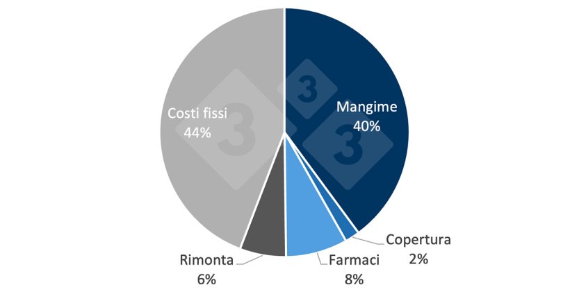 Esempio del costo di un suinetto svezzato comprende le spese di mangimi che ha consumato la scrofa dal momento in cui &egrave; coperta, i farmaci che ha ricevuto, le spese fisse generali per posto scrofa, il costo della rimonta. Fonte: PigChamp - One Click Economico.
