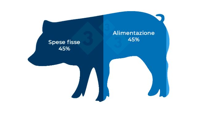 Nota: Consideriamo Spese Fisse tutte le spese di Produzione eccetto il Mangime, dosi seminali, verro, Rimonta, Medicinali, materiali di consumo. Dunque, sono spese Fisse: Personale, Manutenzione, Energia, Ammortamento, Affitti, Oneri Finanziari, Servizi tecnici, Liquami, Amministrazione, Tasse etc...
