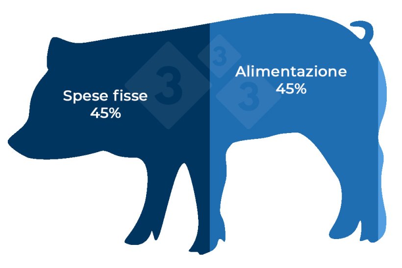 Nota: Consideriamo Spese Fisse tutte le spese di Produzione eccetto il Mangime, dosi seminali, verro, Rimonta, Medicinali, materiali di consumo. Dunque, sono spese Fisse: Personale, Manutenzione, Energia, Ammortamento, Affitti, Oneri Finanziari, Servizi tecnici, Liquami, Amministrazione, Tasse etc...
