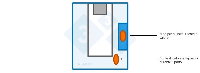 Figura 1. Disposizione della sala parto e gestione della temperatura (sia scrofe che suinetti)