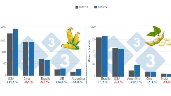 Grafico 1. Proiezione del raccolto per i principali produttori mondiali di mais e soia - Campagna 2023/24 rispetto al ciclo 2022/23. Preparato dal Dipartimento di Economia e Market Intelligence con dati FAS – USDA.