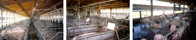 Figura 8. Differenziamo il modello di consumo in base alla fase produttiva.
