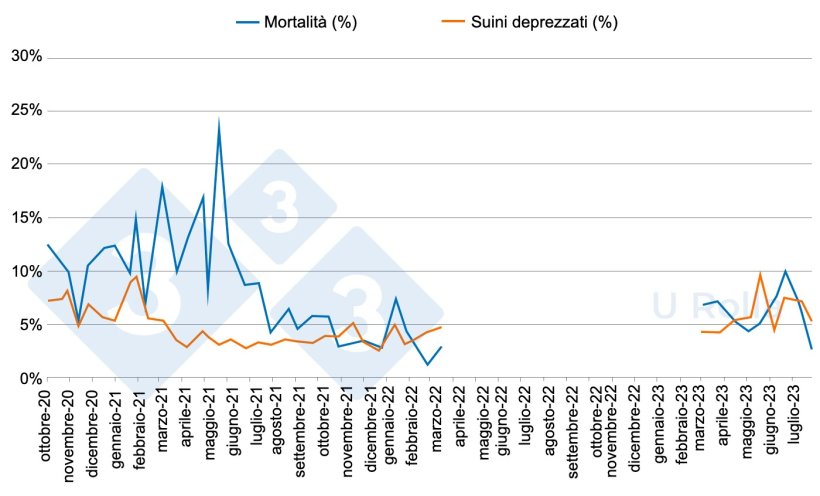Fig. 5: Mortalit&agrave; (%) e percentuale di suinetti di seconda scelta&nbsp;in svezzamento prima (da ottobre 2020 a marzo 2022) e dopo (marzo a luglio 2023) del depopolamento/ripopolamento.
