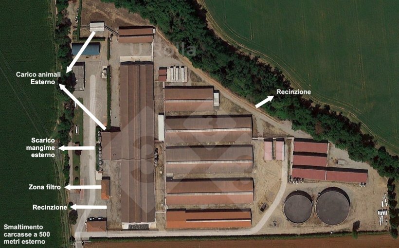 Fig. 1 Vista aerea Allevamento.
