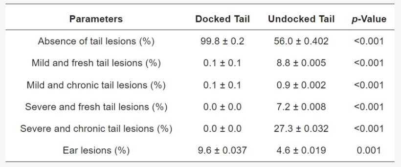 Tabella 2. Frequenza delle lesioni alla coda e alle orecchie (&plusmn; errore standard) in relazione al mozzamento della coda: dati espressi come soggetti affetti/lotto.