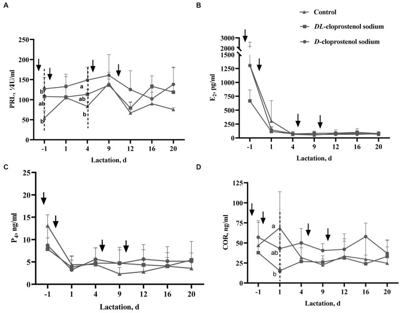 Figura 3. Effetto del D-cloprostenolo sodico o DL-cloprostenolo sodico sui livelli sierici di prolattina (PRL) (A), livelli di estradiolo-17β (E2) (B), livelli di progesterone (P4) (C) e cortisolo (COR) livelli (D) in scrofe multipare durante la lattazione (medie ± SD). Le scrofe multipare senza alcun trattamento aggiuntivo (n = 3) e quelle trattate con 75 μg/ora di D-cloprostenolo sodico (n = 3) e 200 μg/ora di DL-cloprostenolo sodico (n = 3) sono state indotte con trattamenti quartici 24 h prima consegna, rispettivamente 3 h e 5 giorni dopo il parto e 3 h, 5 giorni e 10 giorni dopo il parto. Il ↓ nell'immagine indica il tempo di somministrazione di 75 μg di D-cloprostenolo sodico o 200 μg di DL-cloprostenolo sodico. Il prelievo iniziale del sangue è stato effettuato 3 ore dopo la dose iniziale, cosa che merita di essere menzionata. a,bDiversi apici nello stesso punto temporale del prelievo di sangue differiscono in modo significativo (p