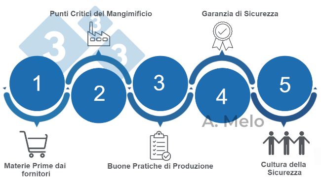 Figura 1. Le cinque chiavi per raggiungere la sicurezza nei mangimi&nbsp;bilanciati.
