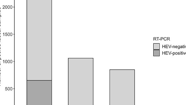 Figura 4. Distribuzione dei campioni HEV positivi testati mediante RT-PCR in tempo reale in base ai suini campionati (Europa, 2020).