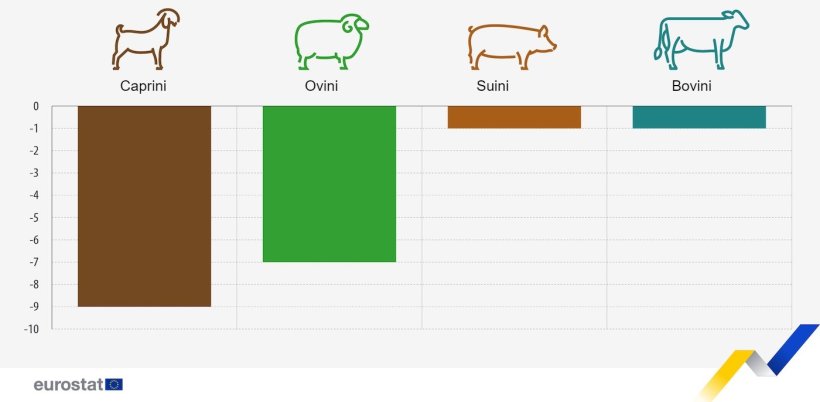 Figura 1. Variazione prevista nella produzione animale dell'UE, periodi selezionati dal 2024 al 2023. Capre, pecore e bovini, seconda metà del 2024 rispetto alla seconda metà del 2023. Suini, quarto trimestre del 2024 rispetto al quarto trimestre del 2023. Fonte: Europa Commissione.