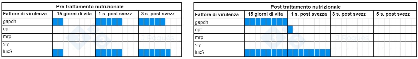 Tabella 1. Evoluzione dei fattori di virulenza rilevati nello Streptococcus suis dopo l'incorporazione di SCFA e MCFA.