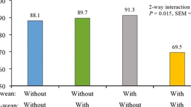 Interazione della polvere sensoriale pre-svezzamento x della polvere sensoriale post-svezzamento sulla percentuale di suini che hanno perso peso dallo svezzamento al giorno 3. Non è stata osservata alcuna interazione bidirezionale dallo svezzamento al giorno 7 (P > 0,10).