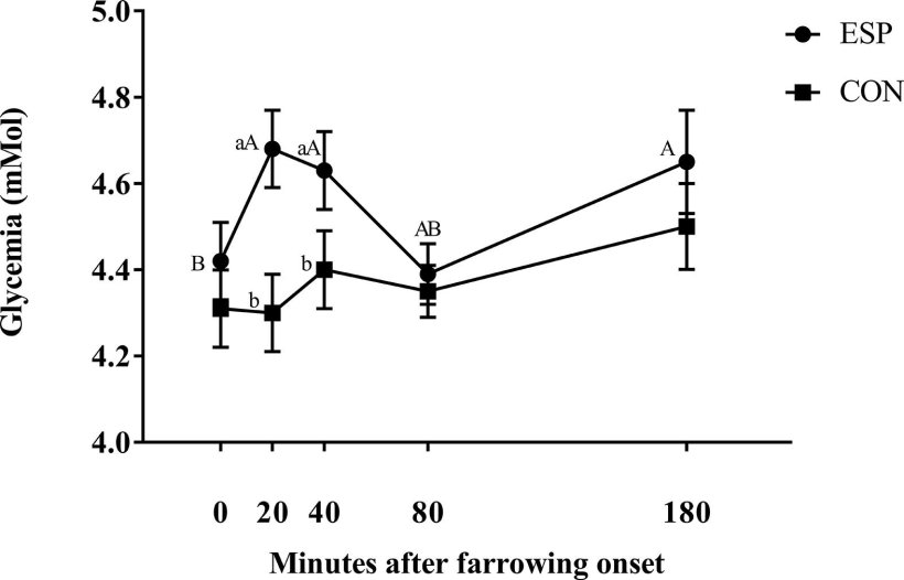 Fig. 1. Curve glicemiche dei gruppi ESP (n = 95, scrofe alimentate con un supplemento energetico all'inizio del parto) e CON (n = 85, femmine non alimentate). Le misurazioni sono state effettuate all'inizio del parto (T0), 20 (T20), 40 (T40), 80 (T80) e 180 (T180) minuti dopo la prima misurazione. I dati sono presentati come media ± SEM. Diverse lettere maiuscole indicano differenze statistiche (P