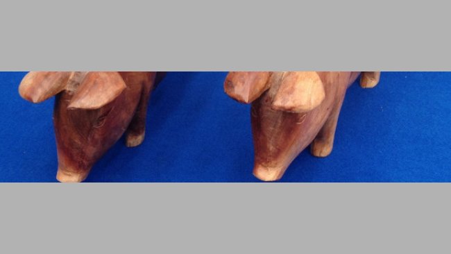 Rassegna Sunicola Internazionale Suinetti