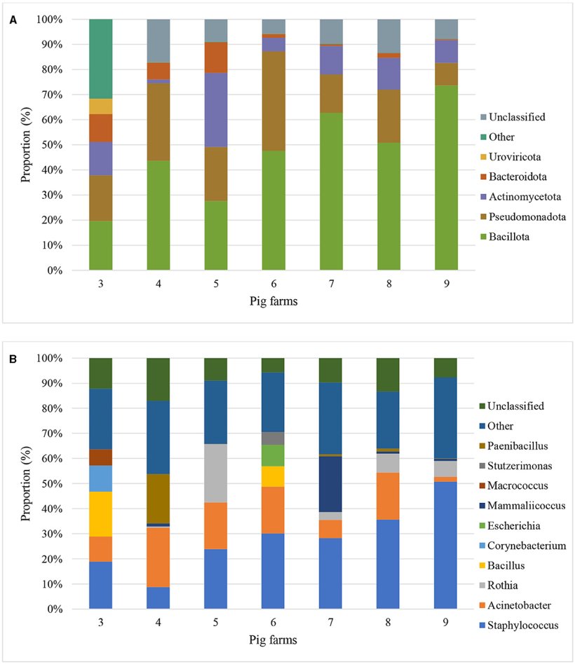 Figura 2. Classificazioni metagenomiche delle composizioni della comunit&agrave; batterica a livello di phylum (A) e di genere (B) di polvere aerodispersa all'interno di sette allevamenti di suini in base alla proporzione (percentuale di letture di sequenziamento che si allineano o mappano a un phyla e a un genere specifici rispetto al numero totale di legge) dei primi 5 phyla e generi.