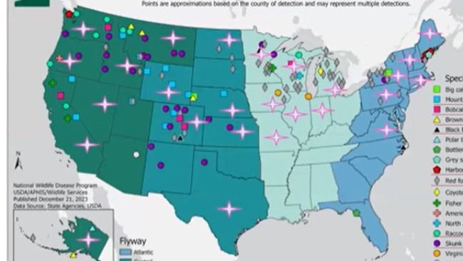 Mapa dei casi di Influenza ad alta patogenicità.