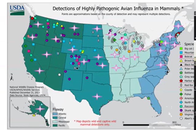 Mapa dei casi di Influenza ad alta patogenicit&agrave;.

