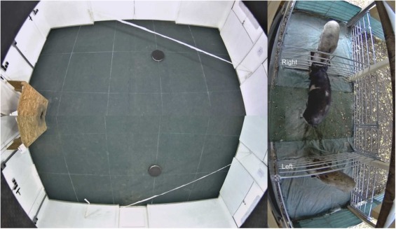 Fig. 1. Immagine della camera di test e le aree contigue esterne
