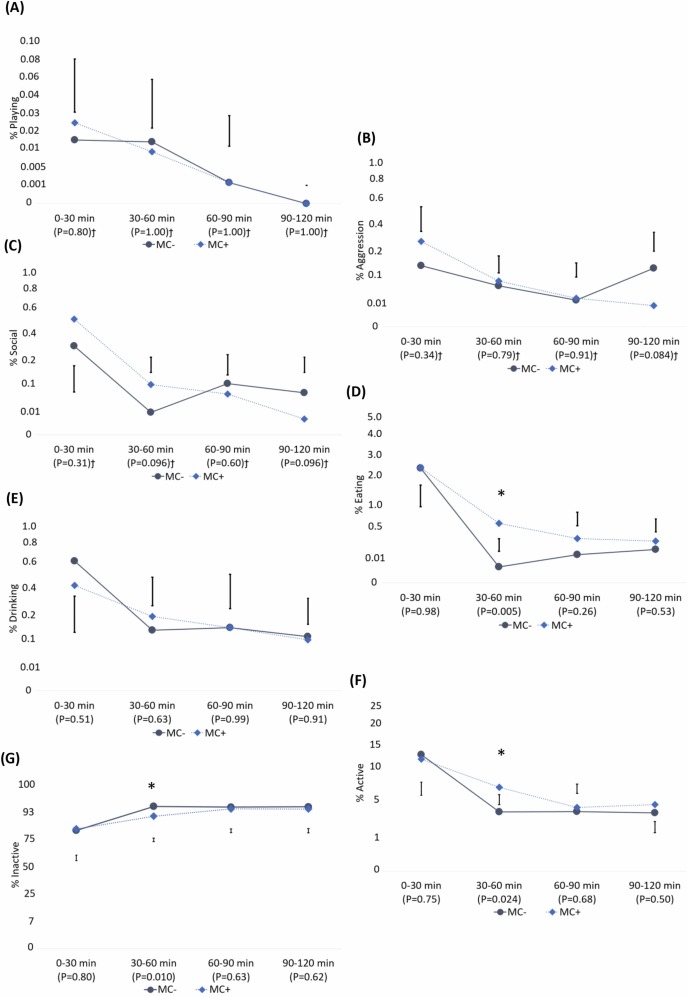 Fig. 1. Effetto del contatto materno (MC) sul comportamento nelle due ore successive allo svezzamento, come :giocco (A), aggressivit&agrave; (B),attivit&agrave; sociale (C), mangiare (D), bere (E), attivo (F) e inattivo (G). I comportamenti sono presentati come percentuale del comportamento mostrato in vista. I dati sono stati sottoposti a trasformazione angolare prima dell'analisi e sono presentati su una scala angolare con diversi valori dell'asse e per comportamenti diversi. Le deviazione standard indicano l'errore standard della differenza sulla scala angolare. Il * indica P 