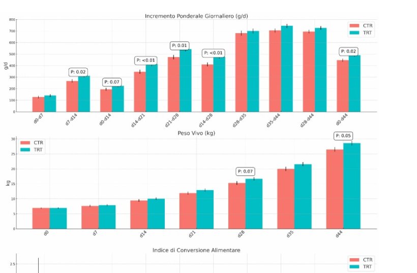 Figura 2. Effetto della supplementazione di muramidasi microbica sull&rsquo;IPG e Peso vivo dei suinetti nella fase di svezzamento.