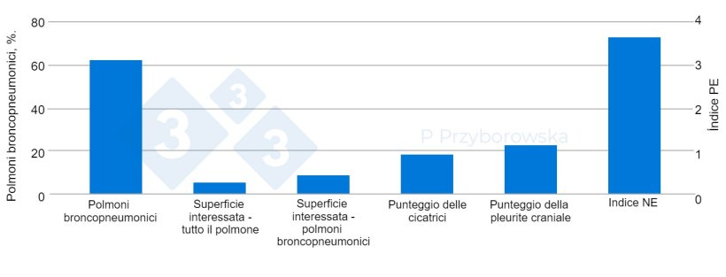 Figura 3. I risultati dell'esame polmonare sono presentati sotto forma di grafico.