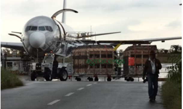 Immagine fornita dalla societ&agrave; Agroceres PIC.&nbsp;
