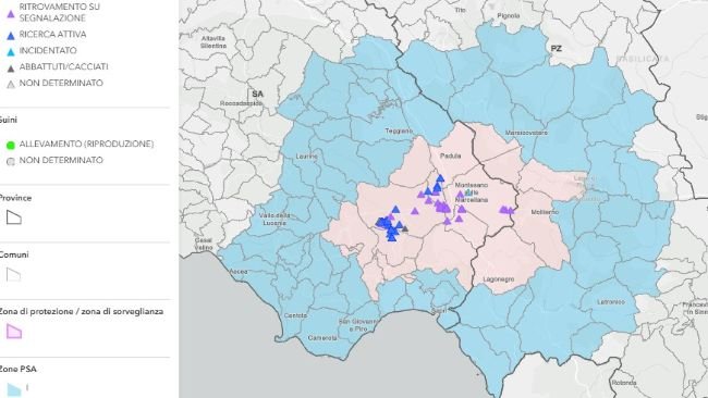 Distribuzione geografica dei casi e focolai di PSA confermati nei suini selvatici e domestici in base al contesto di prelievo