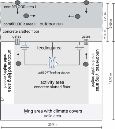 Fig. 1. Disegno schematico di un recinto del sistema di stabulazione in gruppo numeroso con accesso all'esterno gestito da cancelli controllati da computer. La stazione di alimentazione “optiSORT” separava l'area di alimentazione dalle aree di attività e di riposo. Ciascuna zona di alimentazione aveva una porta di uscita a senso unico. I semicerchi indicano le porte, la zona grigia indica il pavimento a grigliato di cemento, la zona bianca indica il pavimento pieno di cemento, la zona grigio chiaro indica la zona coperta e destinata al riposo suddivisa in sette box, la zona grigio scuro indica il comfiFLOOR, le linee tratteggiate indicano la recinzione del percorso all'aperto, i cerchi indicano le telecamere installate e le frecce indicano la direzione di videoregistrazione. Creato con BioRender.com.
