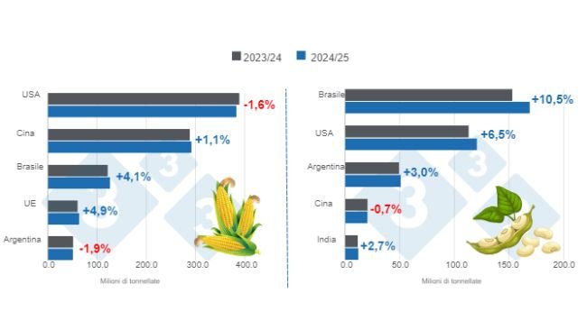 Grafico 1. Proiezione del raccolto per i principali produttori mondiali di mais e soia - Campagna 2024/25 rispetto al ciclo 2023/24.Preparato dal Dipartimento di Economia e Market Intelligence con dati FAS – USDA.