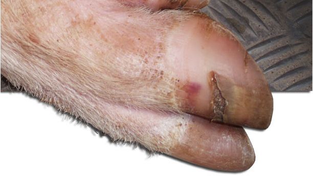 Grietas en la pared lateral