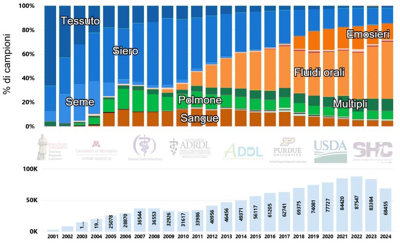 Figura 1. Numero di casi e ripartizione percentuale dei campioni testati per PRRSV mediante RT-PCR nel tempo negli Stati Uniti (2001-2024). Immagine tratta dal sito web del Swine Disease Reporting System (SDRS), https://fieldepi.org/domestic-swine-disease-monitoring-program/