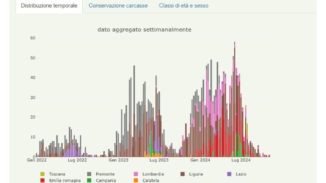 Grafico Tendenza peste suina africana nei cinghiali al 31 ottobre 2024
