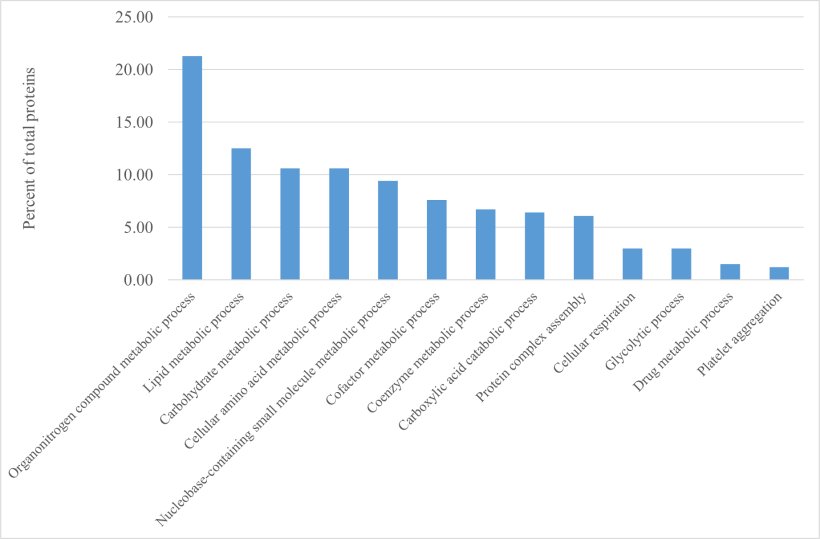 Fig 1. Percentuale di proteine epatiche (su tutte le 329 proteine identificate; Tabella S1) raggruppate in base a diversi processi biologici.
