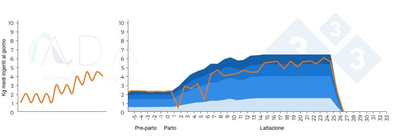 Figura 2. Modello teorico alterato associato alla mastite post-partum e risultati nella pratica
