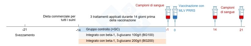 Figura 3. Riepilogo del disegno sperimentale.