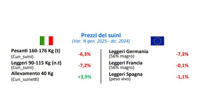 Andamento dei prezzi dei suini in Europa