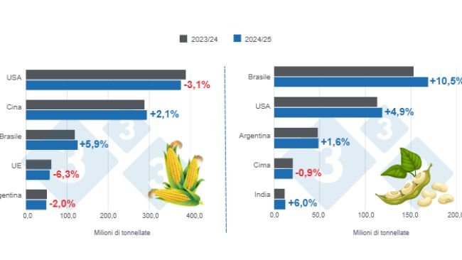 Grafico 1: Proiezione del raccolto per i principali produttori mondiali di mais e soia - campagna 2024/25 rispetto al ciclo 2023/24 - ultimo aggiornamento: 11 marzo 2025. Preparato dal Dipartimento di Economia e Sostenibilità di 333 America Latina con dati FAS - USDA