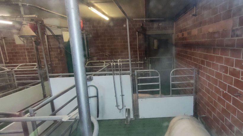 Uno dei modeli box parto libero ristrutturato (3)