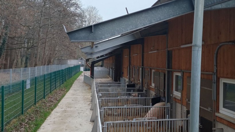 Vista esterna del capannone con i box parto.